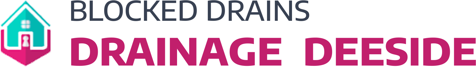 website logo